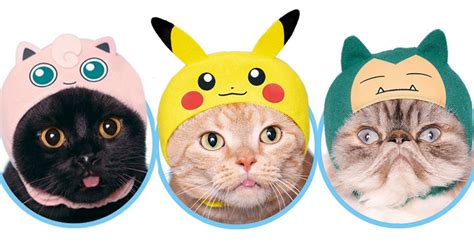 Pokemon Cat Hats Shut Up And Take My Yen