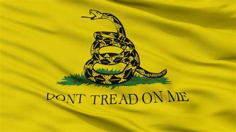 20 Gadsden Flag Stock Photos Pictures And Royalty Free Images Istock