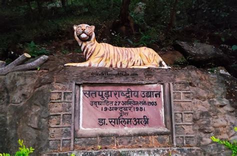 National Parks To Visit From Jabalpur Tiger Circuit Of Madhya Pradesh