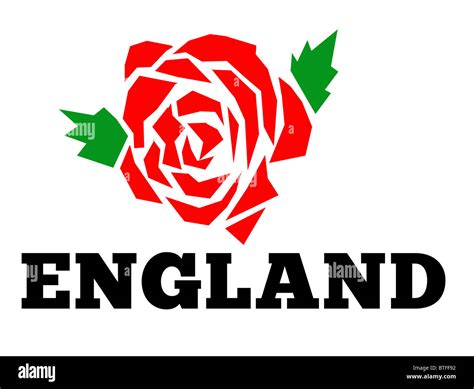Illustration Of A Red English Rose With Words England Isolated On