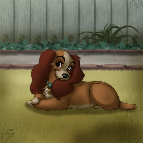 Lady And The Tramp Lady And Tramp Fan Art 32588715 Fanpop