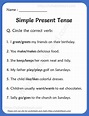 simple-present-tense-worksheets-for-grade-2 - Your Home Teacher