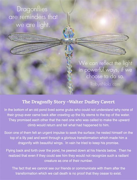 The Dragonfly Story By Walter Dudley Cavert Robyn Nola Ts