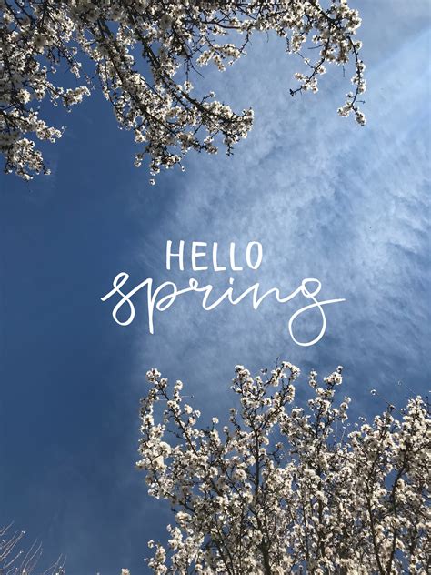 Hello Spring Pictures Instagram Photo Photo And Video