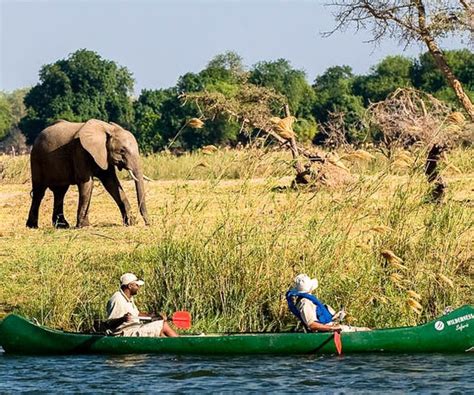 Zambezi Canoe Adventure And Holiday Zambezi Africa Tours