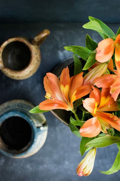 Hd Wallpaper Orange Blooming Flowers On White Ceramic Vase Flower