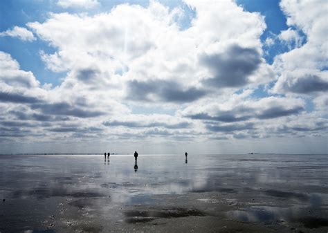 The International Wadden Sea Nlddk Linking Tourism And Conservation