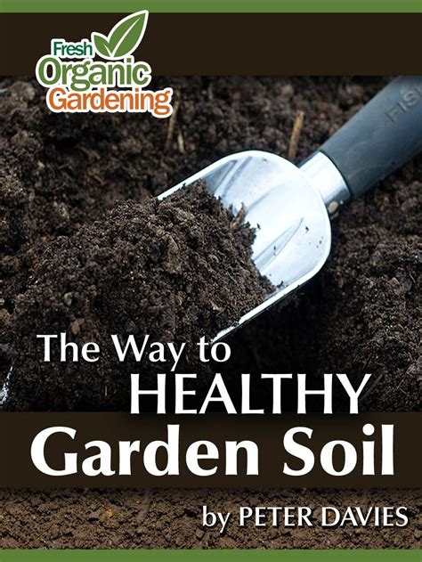 The Way To Healthy Garden Soil A Healthy Garden Soil This Is What