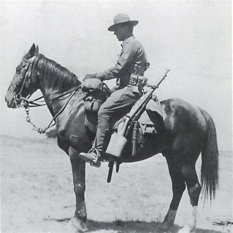 Us Cavalry Trooper War Horse Horses Cavalry