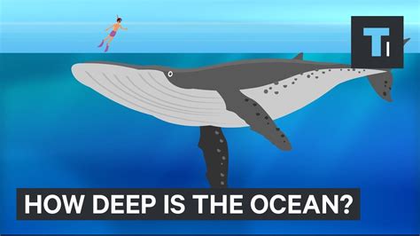 This Incredible Animation Shows How Deep The Ocean Really Is Ocean