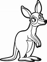 Kangaroo Marsupial Wecoloringpage Designlooter Hayvanlar sketch template