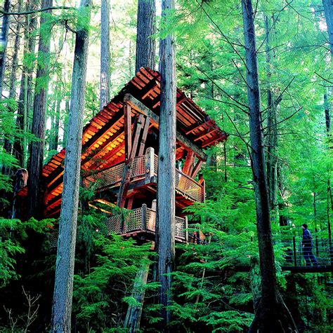 Tree House Cool Tree Houses Tree House Floating Architecture