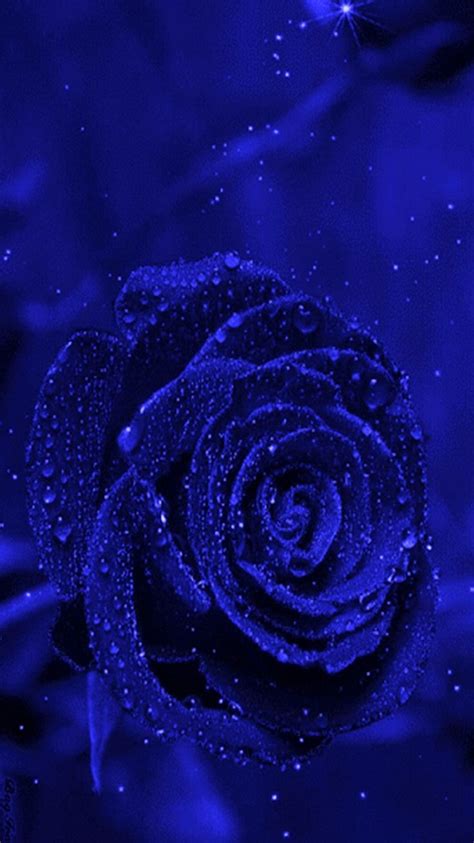 Pin By Angelica Hardy On Blue Blue Flower Wallpaper Rose Flower