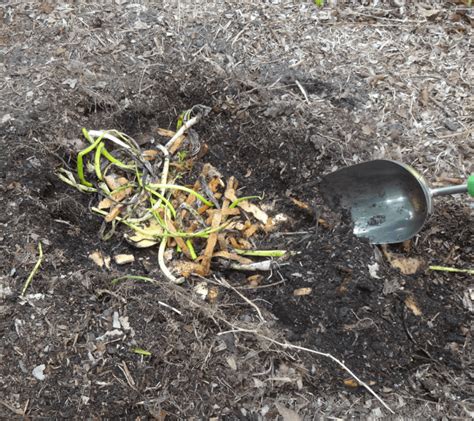 8 Methods Of Composting Direct Compost Solutions