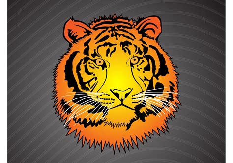 Tiger Head Vector Download Free Vector Art Stock Graphics And Images