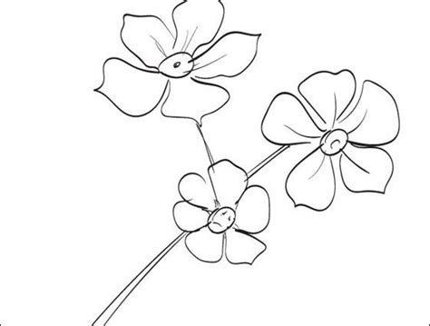 Forget Me Not Coloring Page At Getdrawings Free Download