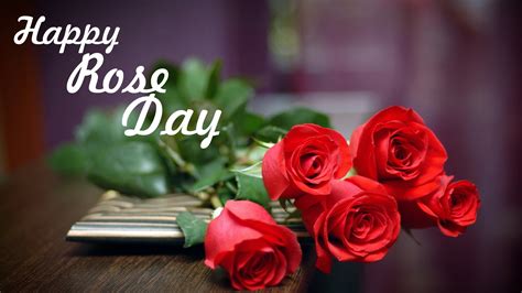 Rose Day Wallpapers And Beautiful Images 2023