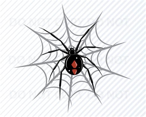 Spider Black And White Clip Art