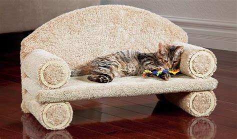 Cat Couch Cat Couch Pet Sofa Cat Bed