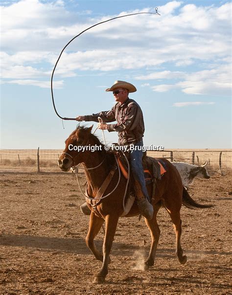 Working Cowboys Tony Bruguiere