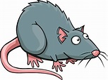 Rat Clip Art, Vector Images & Illustrations - iStock