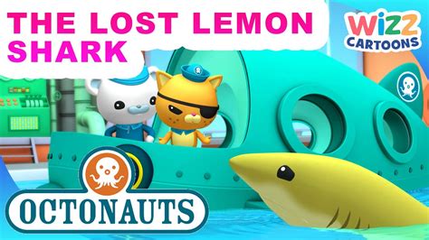 Octonauts The Lost Lemon Shark 🍋🦈 Series 1 Full Episode 42