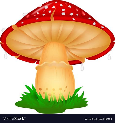 Vector Illustration Of Mushroom Cartoon Download A Free Preview Or