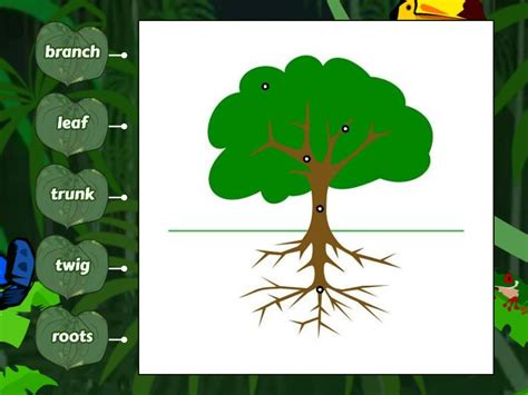 Structure Of A Tree Labelled Diagram