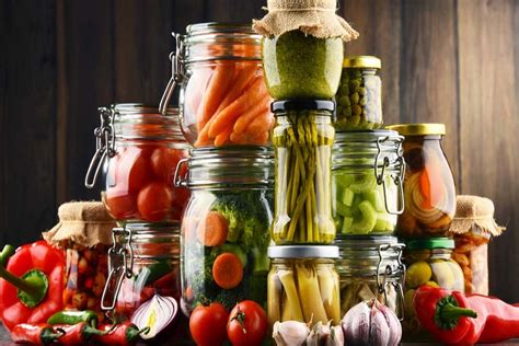 Storing Food Preserving The Garden By Canning Freezing And Drying