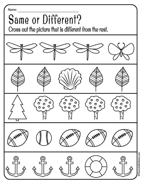 Alike And Different Worksheet