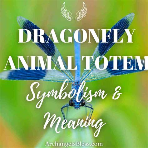 Dragonfly Animal Totem Symbolism And Meaning