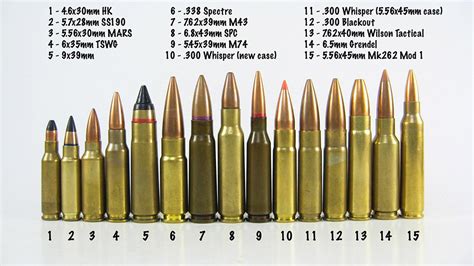 Rifle Ammunition Sizes Comparison Chart