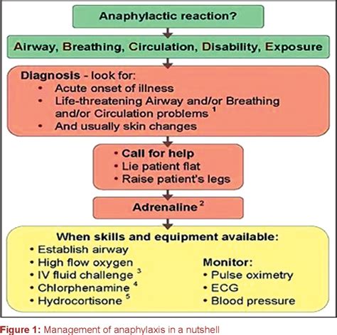 Anaphylaxis Shock Treatment