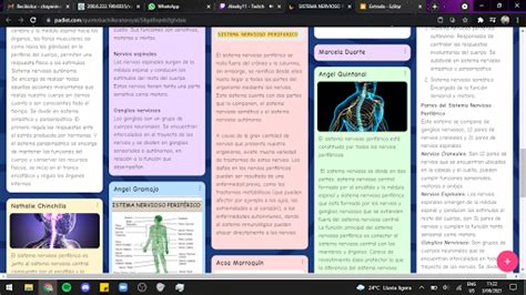 Ss Padlet Sistema Nervioso Periferico