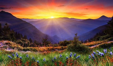 Mountain Sunrise In The Spring Mountain Sunrise Spring Moring View