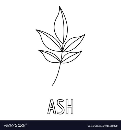 Ash Leaf Icon Outline Style Royalty Free Vector Image
