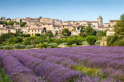 Quick Guide To The Lavender Fields Provence 2023 France Bucket List