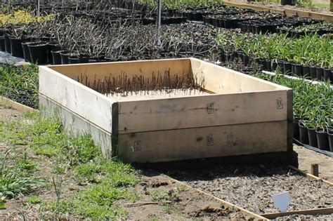If you are concerned about using treated wood, line the interior walls of the garden bed with sheet plastic before adding soil. 5 Unique Ways to Build Raised Garden Beds