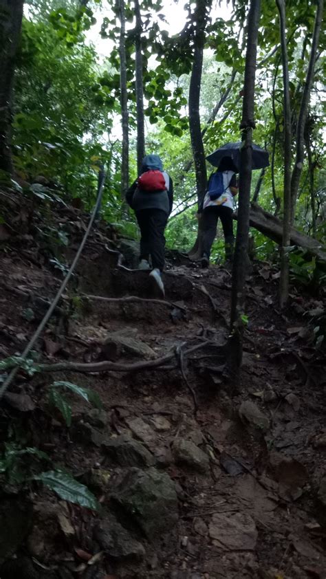 Morning 1.5 hours leisure hike at bukit gasing on 22 july 2020 thru hindu temple trail. Bukit Gasing 2.0