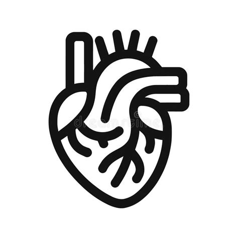 Icon Of Human Heart In Outline Style Isolated Stock Vector