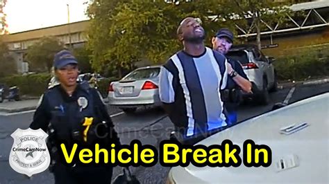 Brazen Theft Uncovered Suspect Apprehended After Vehicle Break-In - YouTube