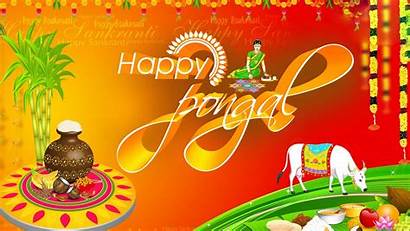 Pongal Tamil Wallpapers Happy Telugu Festival Festivals