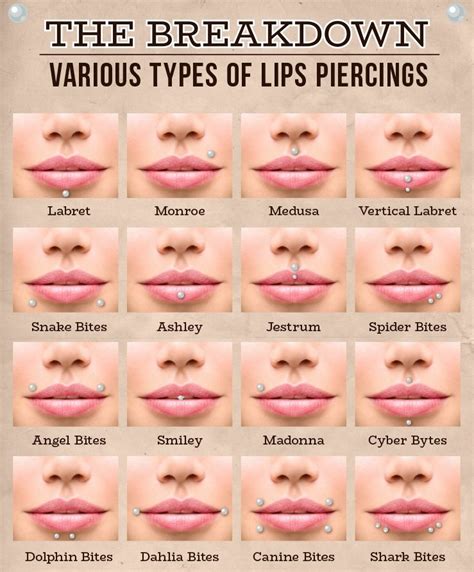 Different Lip Piercings Unique Body Piercings Pretty Ear Piercings Piercings For Girls Body
