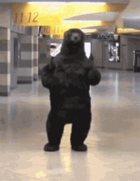 Boston Bruins Bear  Bostonbruins Bear Dancing Discover And Share S
