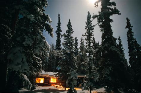 Cozy Log Cabin At Moon Lit Winter Night Stock Photo Image Of Calm Poverty 20079490