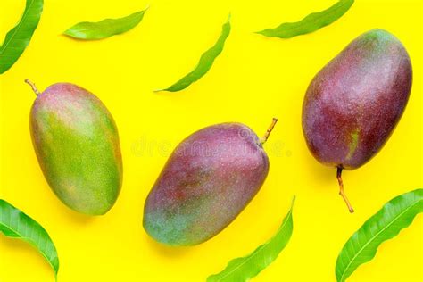 Mango Tropical Fruit With Leaves On Yellow Background Stock Image