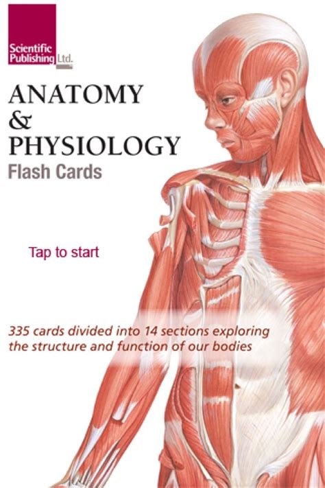Anatomy And Physiology Flash Cards By Scientific Publishing Ltd