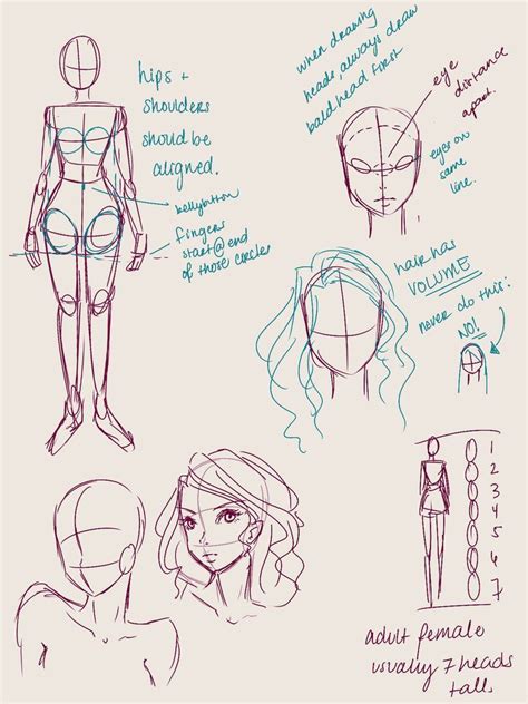 Really Quick Anatomy Help By Seyuri On Deviantart Comic Drawing