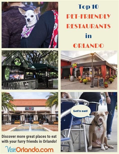 134 pet friendly properties in major cities across north america. Pet-Friendly Restaurants in Orlando | Dog friendly hotels ...