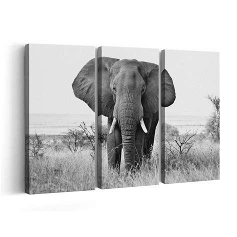 African Elephant Canvas Print African Elephant Wall Art Etsy